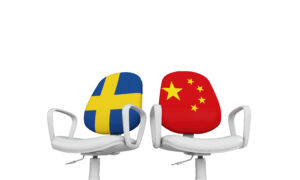 FS Nätredovisning är en redovisningsbyrå i Malmö som specialiserat sig på att hjälpa företag att hantera sin ekonomi och redovisning på ett professionellt sätt. För företag som planerar att importera varor från Kina och hantera tull och moms, kan FS Nätredovisning erbjuda värdefulla tjänster och expertis för att underlätta processen.